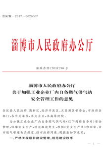 市政府辦公廳 關(guān)于加強(qiáng)工業(yè)企業(yè)廠內(nèi)自備燃?xì)夤庹景踩芾砉ぷ鞯囊庖?jiàn)