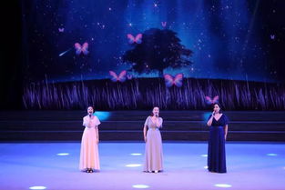 2019年 欢乐西青 文艺大舞台专场演出在文化中心剧场举行